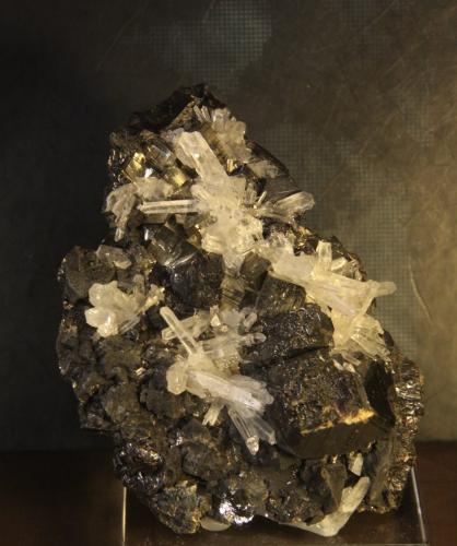 Sphalerite, Pyrite and Quartz<br />Alimon Mine (Animon Mine), Huaron mining district, Huayllay District, Pasco Province, Pasco Department, Peru<br />67mm x 90mm x 42mm<br /> (Author: franjungle)