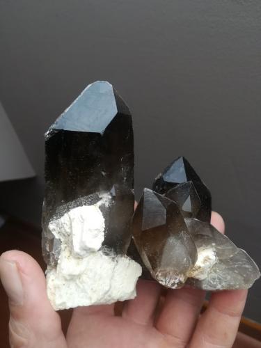 Cuarzo (variedad ahumado)<br />Xiabre Mountain, Vilagarcía de Arousa, Comarca O Salnés, Pontevedra, Galicia / Galiza, Spain<br />12x10cm aprox<br /> (Autor: ximocompany)