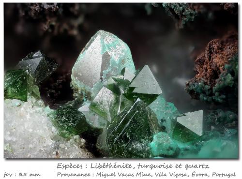 Libethenite,Turquoise and Quartz<br />Miguel Vacas Mine, Pardais and Conceição Parish, Vila Viçosa, Évora District, Alentejo Central Province, Alentejo Region, Portugal<br />fov 3.5 mm<br /> (Author: ploum)