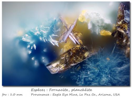 Fornacite and Plancheite<br />Mina Eagle Eye, Grupo Moore Mine, Distrito New Water, Montes New Water, Condado La Paz, Arizona, USA<br />fov 1 mm<br /> (Author: ploum)