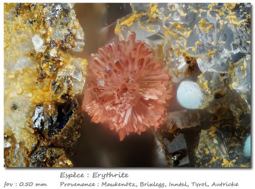 Erythrite<br />Mockleiten Mine, Brixlegg, Kufstein District, Inn Valley, North Tyrol, Tyrol/Tirol, Austria<br />fov 0.5 mm<br /> (Author: ploum)