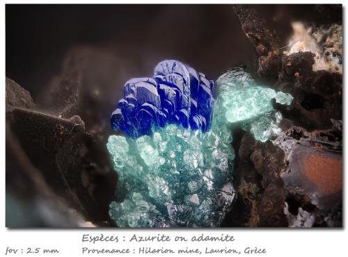 Azurite on Adamite<br />Hilarion Mine, Hilarion area, Kamariza Mines, Agios Konstantinos, Lavrion Mining District, Attikí (Attica) Prefecture, Greece<br />fov 2.5 mm<br /> (Author: ploum)