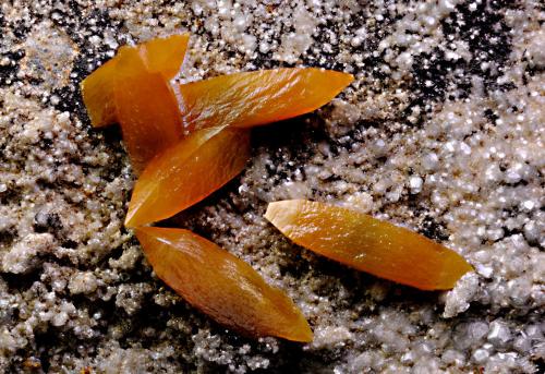 Wulfenite<br />Barranco del Humo Mines, Albuñuelas, Comarca Valle de Lecrín, Granada, Andalusia, Spain<br />FOV 6mm<br /> (Author: Carlos Pareja)