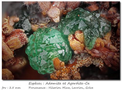 Adamite and Agardite-Ce<br />Mina Hilarion, Zona Hilarion, Minas Kamariza, Agios Konstantinos, Distrito minero Lavrion, Prefectura Attikí (Attica), Grecia<br />fov 2.5 mm<br /> (Author: ploum)