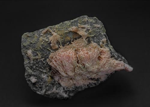 Rhodochrosite<br />Broken Hill, Condado Yancowinna, Nueva Gales del Sur, Australia<br />5.7 x 4.0 cm<br /> (Author: am mizunaka)