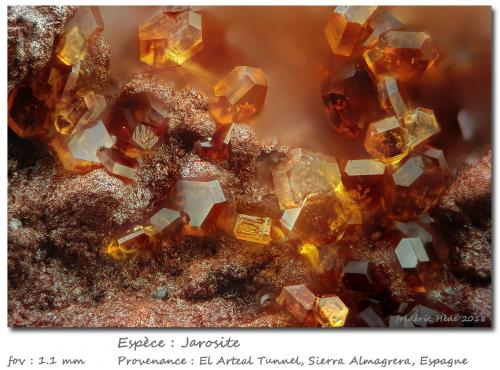 jarosite<br />Barranco del Francés, Sierra Almagrera, Cuevas del Almanzora, Comarca Levante Almeriense, Almería, Andalusia, Spain<br /><br /> (Author: ploum)