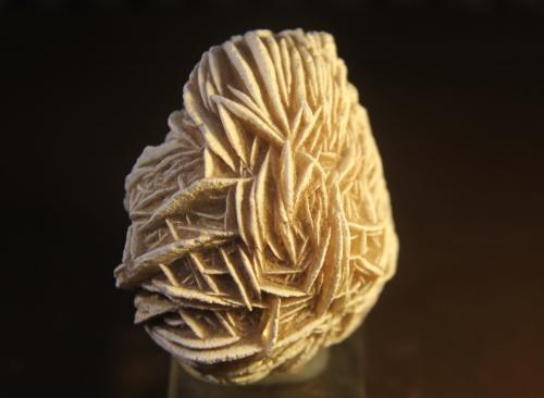 Gypsum<br />Samalayuca Desert, Municipio Ahumada, Chihuahua, Mexico<br />54mm x 56mm x 42mm<br /> (Author: franjungle)