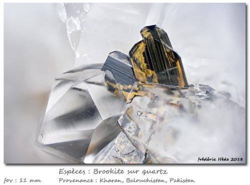 Brookite avec Quartz<br />Kharan, Kharan District, Balochistan (Baluchistan), Pakistan<br />fov 11 mm<br /> (Author: ploum)