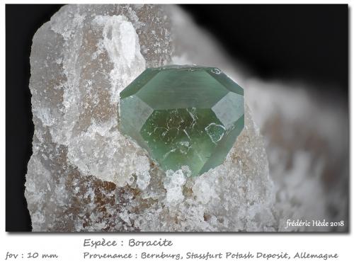 Boracite<br />Bernburg, Stassfurt, Saxony-Anhalt/Sachsen-Anhalt, Germany<br />fov 10 mm<br /> (Author: ploum)