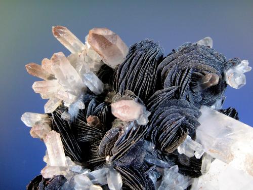 Hematites en Cuarzo<br />Mina Lechang, Lechang, Prefectura Shaoguan, Provincia Guangdong, China<br />Rosetas de 2 cm.<br /> (Autor: Antonio P. López)