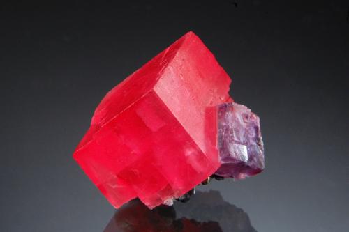 Rhodochrosite<br />Mina Sweet Home, Monte Bross, Distrito Alma, Condado Park, Colorado, USA<br />2.0 x 2.6 cm<br /> (Author: crosstimber)