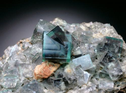 Fluorite<br />Mina Rogerley, filón Sutcliffe, Frosterley, Weardale, North Pennines Orefield, County Durham, Inglaterra / Reino Unido<br />FOV = 6 cm<br /> (Author: Jesse Fisher)