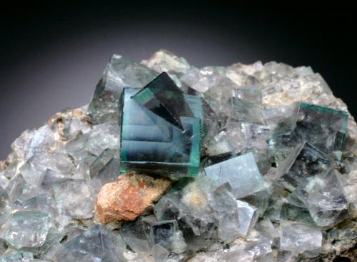 Fluorite<br />Rogerley Mine, Sutcliffe vein, Frosterley, Weardale, North Pennines Orefield, County Durham, England / United Kingdom<br />FOV = 6 cm<br /> (Author: Jesse Fisher)