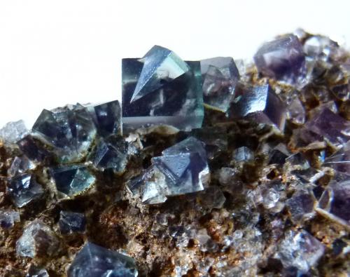 Fluorite<br />Rogerley Mine, Sutcliffe vein, Frosterley, Weardale, North Pennines Orefield, County Durham, England / United Kingdom<br />12mm<br /> (Author: colin robinson)