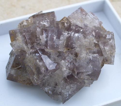 Fluorite<br />Killhope Mine, Middlegrove vein, Weardale, North Pennines Orefield, County Durham, England / United Kingdom<br />8mm<br /> (Author: colin robinson)