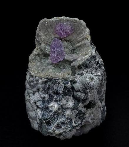 Quartz (variety amethyst)<br />Tadami, Minamiaizu District, Fukushima Prefecture, Tohoku Region, Honshu Island, Japan<br />3.8 x 2.5 cm<br /> (Author: am mizunaka)