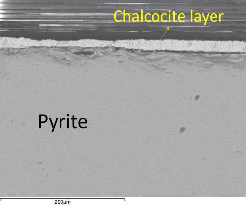 Polished section of a crystal showing the chalcocite layer. (Author: Cesar M. Salvan)