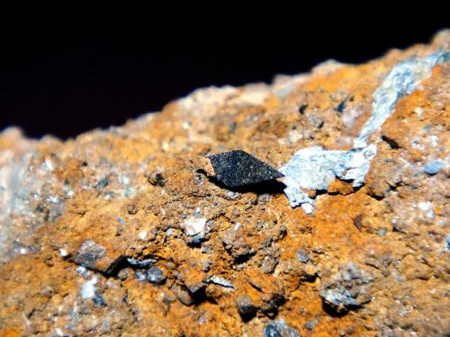 Anatasa<br />Crapteig, Thusis, Domleschg, Valle Hinterrhein, Grisones (Grischun; Graubünden), Suiza<br />Cristal de 0,7 cm.<br /> (Autor: Antonio P. López)