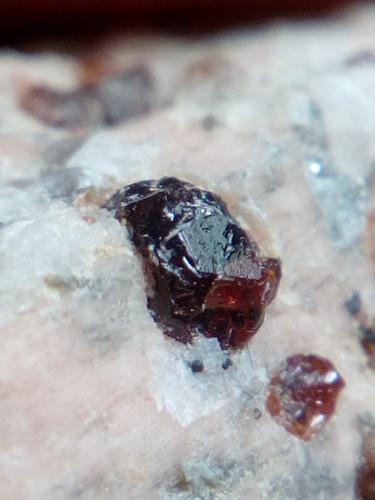 Almandino (grupo granate)<br />Mas Sever Quarry, Massabè (Mas Ceber), Sils, Comarca La Selva, Gerona / Girona, Catalonia / Catalunya, Spain<br />3 mm<br /> (Autor: Iwok)