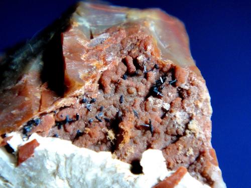 Groutita<br />Mina Black Water, Cuenca Black Mesa, Distrito Chinle, Condado Apache, Arizona, USA<br />Cristales de 2-3 mm.<br /> (Autor: Antonio P. López)