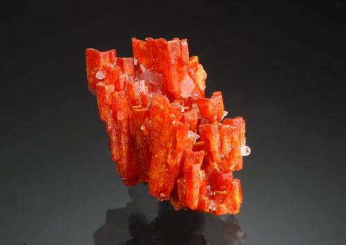 Vanadinite<br />Grey Horse Mine, Riverside, Riverside District, Dripping Spring Mountains, Pinal County, Arizona, USA<br />1.5 x 2.0 cm<br /> (Author: crosstimber)