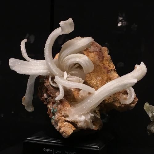 Gypsum from Morocco (Author: Fiebre Verde)