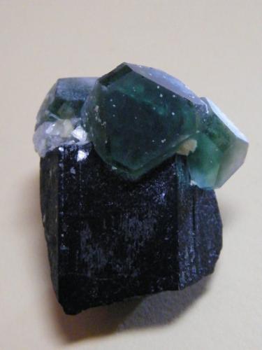 Fluorite and Schorl<br />Erongo Mountain, Usakos, Erongo Region, Namibia<br />33mm x 42mm x 27mm<br /> (Author: Heimo Hellwig)