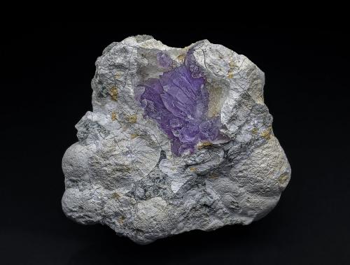 Quartz (variety amethyst)<br />Tadami, Minamiaizu District, Fukushima Prefecture, Tohoku Region, Honshu Island, Japan<br />3.5 x 3.2 cm<br /> (Author: am mizunaka)