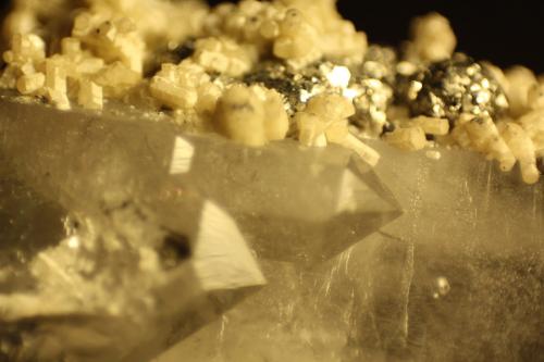 Apatite and Pyrite on Quartz<br />Minas da Panasqueira, Aldeia de São Francisco de Assis, Covilhã, Castelo Branco, Cova da Beira, Centro, Portugal<br />FOV 11 mm<br /> (Author: franjungle)