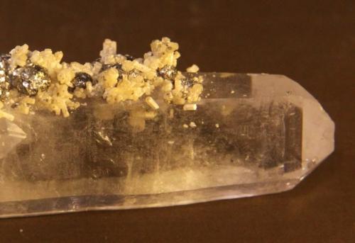 Apatite and Pyrite on Quartz<br />Minas da Panasqueira, Aldeia de São Francisco de Assis, Covilhã, Castelo Branco, Cova da Beira, Centro, Portugal<br />25mm x 86mm x 21mm<br /> (Author: franjungle)