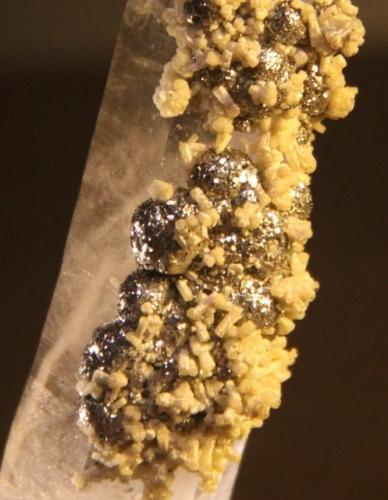 Apatite and Pyrite on Quartz<br />Minas da Panasqueira, Aldeia de São Francisco de Assis, Covilhã, Castelo Branco, Cova da Beira, Centro, Portugal<br />25mm x 86mm x 21mm<br /> (Author: franjungle)