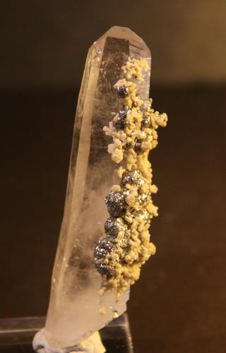 Apatite and Pyrite on Quartz<br />Minas da Panasqueira, Aldeia de São Francisco de Assis, Covilhã, Castelo Branco, Cova da Beira, Centro, Portugal<br />25mm x 86mm x 21mm<br /> (Author: franjungle)