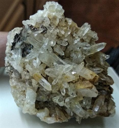 Cuarzo y Rutilo (variedad sagenita)<br />Horcajuelo de la Sierra, Comarca Sierra Norte, Comunidad de Madrid, España<br />Los cristales de Rutilo Sagenita tienen 2,3 cms.<br /> (Autor: Gelo)