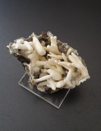 Aragonite (variety flos ferri)<br />Mina Storch und Schöneberg, Gosenbach, Siegen, Distrito Siegen-Wittgenstein, Arnsberg, Renania del Norte-Westfalia/Nordrhein-Westfalen, Alemania<br />3,5 x 3 cm<br /> (Author: Andreas Gerstenberg)