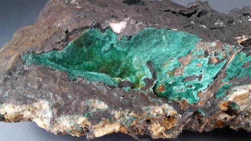 Malachite<br />Mina Vahlberger Zug, Rothemühle, Wenden, Olpe, Sauerland, Renania del Norte-Westfalia/Nordrhein-Westfalen, Alemania<br />Picture width: approx. 15 cm<br /> (Author: Andreas Gerstenberg)