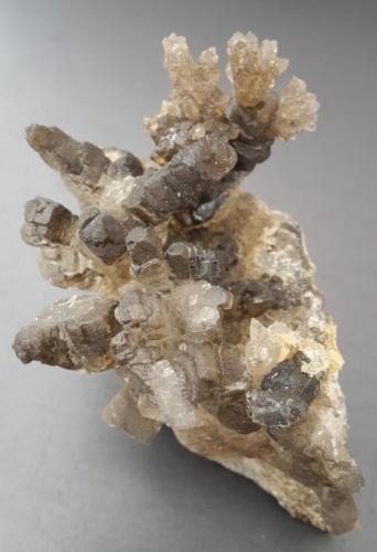 Halite<br />Pozo Thomas-Münzer, Sangerhausen, Distrito Mansfeld-Südharz, Sajonia-Anhalt/Sachsen-Anhalt, Alemania<br />7 x 6 cm<br /> (Author: Andreas Gerstenberg)