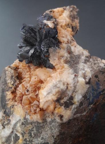 Azurite<br />Schmitt dolomite Quarry, Altenmittlau, Freigericht, Main-Kinzig-Kreis District, Spessart, Hesse/Hessen, Germany<br />2 cm crystal aggregate<br /> (Author: Andreas Gerstenberg)