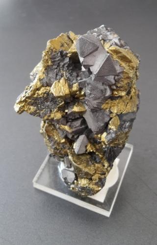 Galena, Chalcopyrite<br />Georg Mine, Horhausen, Flammersfeld, Altenkirchen (Westerwald), Siegerland, Rhineland-Palatinate/Rheinland-Pfalz, Germany<br />6 x 3,5 cm<br /> (Author: Andreas Gerstenberg)