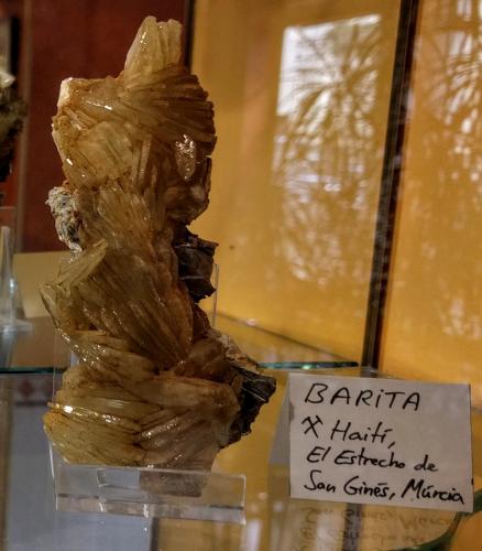 Barita<br />Haití Mine, Cabezo de San Ginés, San Ginés de la Jara, Cartagena, Comarca Campo de Cartagena, Region of Murcia (Murcia), Spain<br />10,0 x 4,0 cm<br /> (Autor: Carles)
