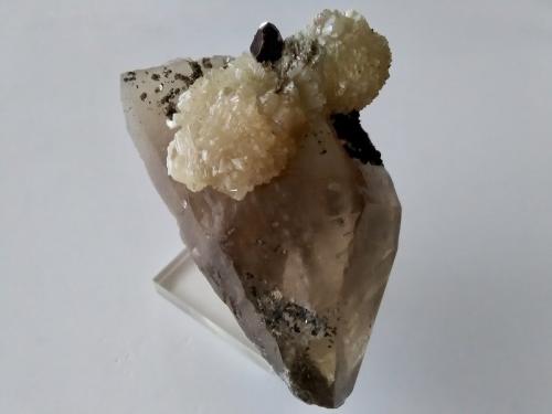 Bavenita,  Granate (Grupo), Cuarzo (variedad ahumado)<br />Venero I Quarry (Cadalso I Quarry), Cadalso de los Vidrios, Comarca Sierra Oeste de Madrid, Community of Madrid, Spain<br />Ejemplar 70x40 mm<br /> (Autor: Carlos G. Bargueño)