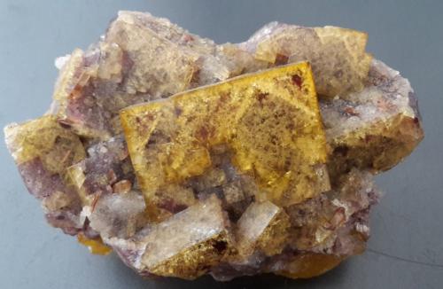 Fluorite<br />Mina Malwine, filón Bergmännisch Glück Flacher, Pozo Wismut 29b, Frohnau, Annaberg-Buchholz, Distrito Annaberg, Erzgebirgskreis, Sajonia/Sachsen, Alemania<br />10 x 7,5 cm<br /> (Author: Andreas Gerstenberg)