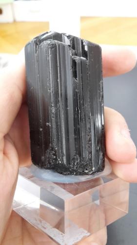 Schorl<br />Mühlau, Chemnitz, Saxony/Sachsen, Germany<br />8 x 4 cm<br /> (Author: Andreas Gerstenberg)