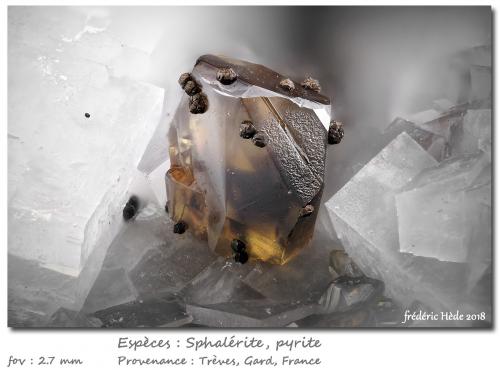 Sphalerite<br />Mina Trèves, Valle Fournels, Trèves, Gard, Occitanie, Francia<br />fov 2.7 mm<br /> (Author: ploum)