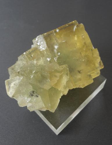 Fluorite<br />Mina Pöhla-Tellerhäuser, Filón Zweibach, nivel 240 m, Pöhla, Distrito Schwarzenberg, Erzgebirgskreis, Sajonia/Sachsen, Alemania<br />4,5 x 3,5 cm<br /> (Author: Andreas Gerstenberg)