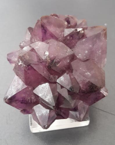 Quartz (variety amethyst)<br />Warmbad, Marienberg, Erzgebirgskreis, Sajonia/Sachsen, Alemania<br />4 x 3,5 cm<br /> (Author: Andreas Gerstenberg)