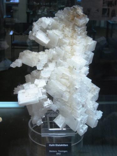 Halite<br />Merkers, Merkers-Kieselbach, Thuringian Forest, Thuringia/Thüringen, Germany<br />Approx. 25 cm<br /> (Author: Tobi)