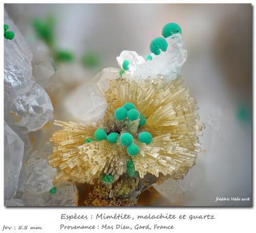 Mimetite and malachite<br />Mas Dieu, Mercoirol, Alès, Gard, Occitanie, France<br />fov 5.5 mm<br /> (Author: ploum)