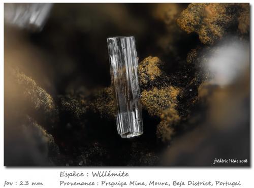 Willemite<br />Preguiça Mine, Sobral da Adiça, Moura, Beja District, Baixo Alentejo, Alentejo, Portugal<br />fov 2.3 mm<br /> (Author: ploum)