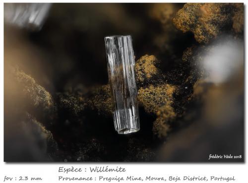 Willemite<br />Mina da Preguiça, Sobral da Adiça, Moura, Distrito Beja, Baixo Alentejo, Alentejo, Portugal<br />fov 2.3 mm<br /> (Author: ploum)