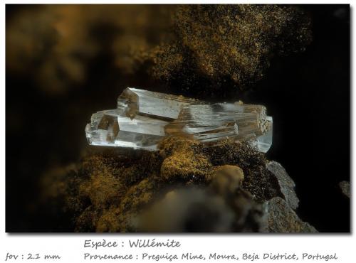 Willemite<br />Preguiça Mine, Sobral da Adiça, Moura, Beja District, Baixo Alentejo, Alentejo, Portugal<br />fov 2.1 mm<br /> (Author: ploum)